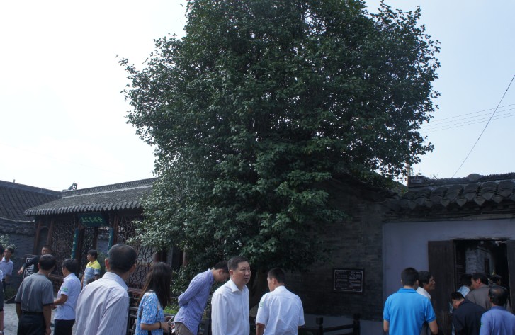 兆胜建材举办全厂工人十一溱潼一日游 赢胜文化